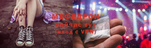 прущие грибы Вязьма