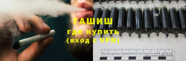 прущие грибы Вязьма