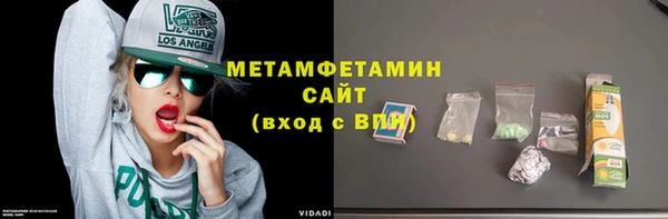 прущие грибы Вязьма