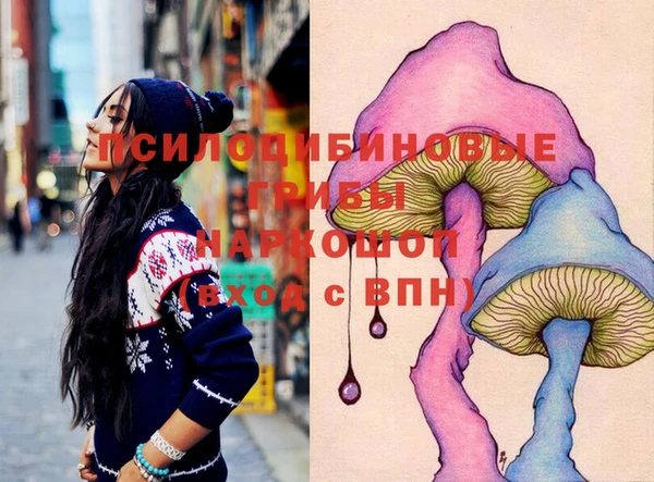 прущие грибы Вязьма