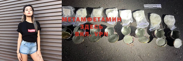 прущие грибы Вязьма