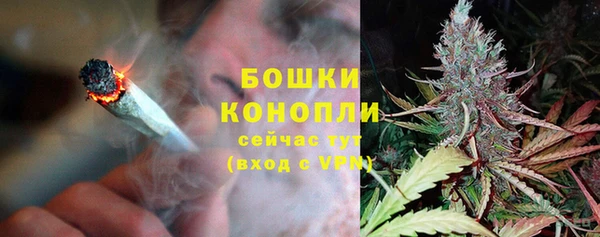прущие грибы Вязьма