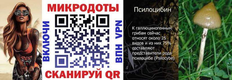 mega как зайти  купить  цена  Заинск  Галлюциногенные грибы Cubensis 